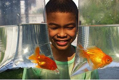 《猫与花毯》12月8日登陆NS Steam获特别好评